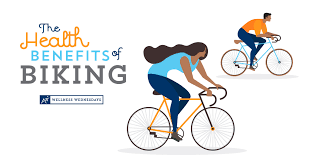 The Health Benefits of Regular Cycling