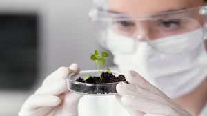Sustainable Practices in Pharmaceutical Research: Navigating Towards Eco-Friendly Innovation